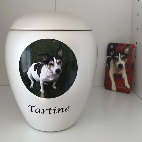 urne deces animaux