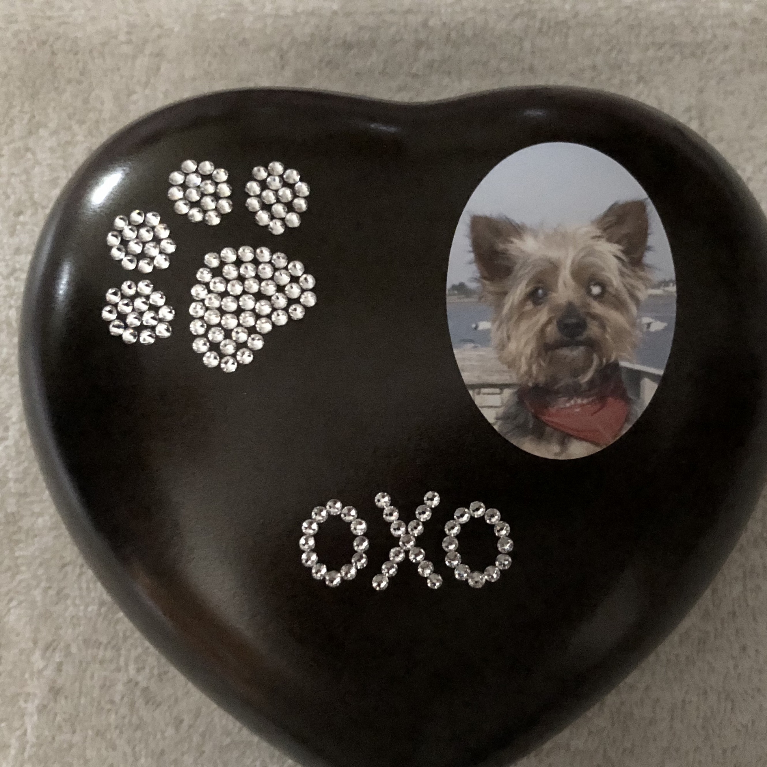 urne pour chien avec photo et nom swarovski pas cher