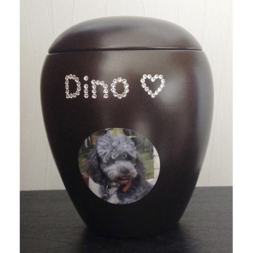 urne pour chat avec photo luxus