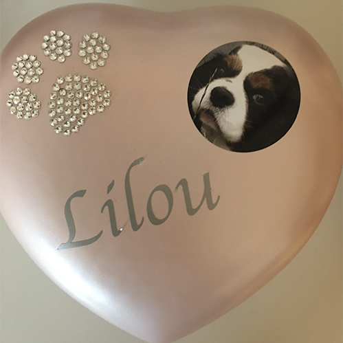 urne pour chat avec photo luxus
