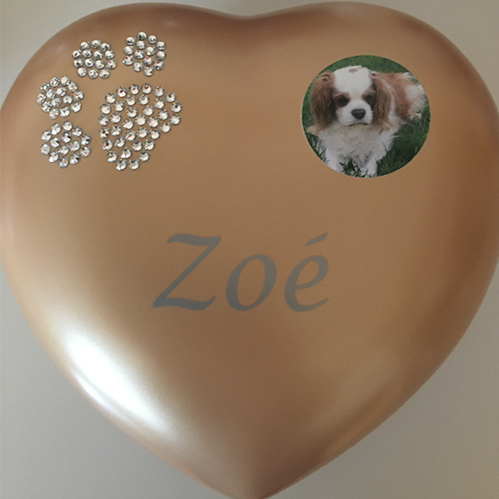 urne pour chien avec photo et nom swarovski pas cher luxus