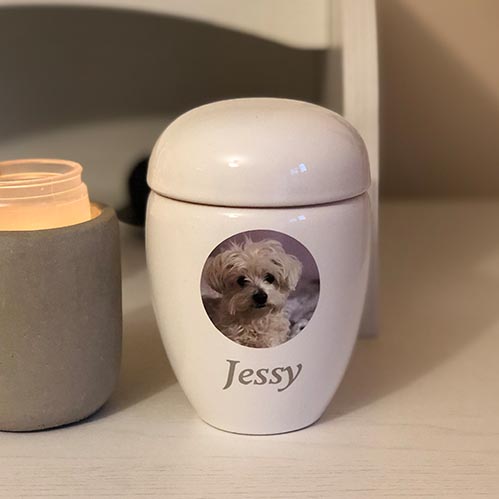urnes funéraires animaux swarovski,urne pour chien swarovski, urne pour chat swarovski