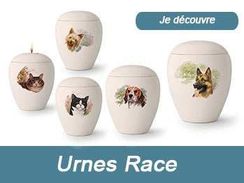 Races de chiens sur urne couleur crème avec motif peint à la main, à acheter à bon prix sur urnes-animaux.com