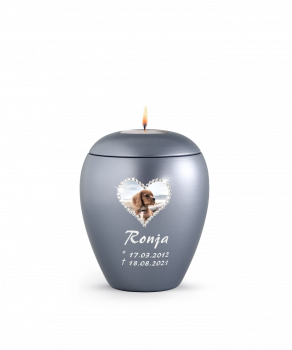 Dog and Cat Urn with Swarovski Photo Heart