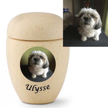 urn dog avec photo
