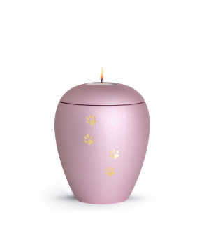 Animal Urn Edition Verona in different colours with golden paw