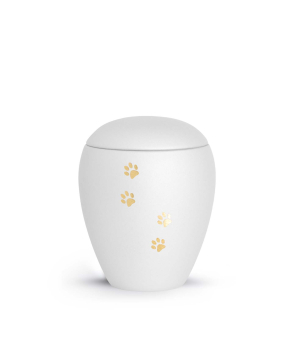 Animal Urn Edition Verona in different colours with golden paw