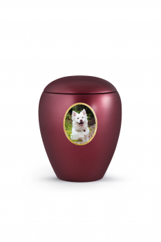 Option: personalise your urn with different photo motifs the Star Edition