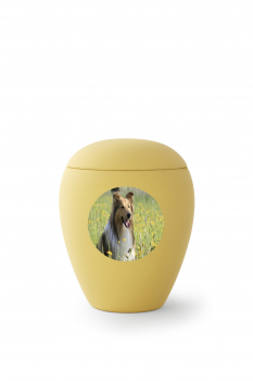 Option: personnalisée votre urne avec photo médaillon - format ovale ou ronde
