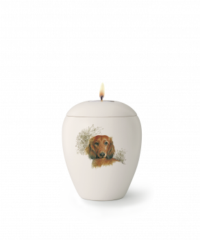 Pet urns Edition Sky   Race: Dachshund