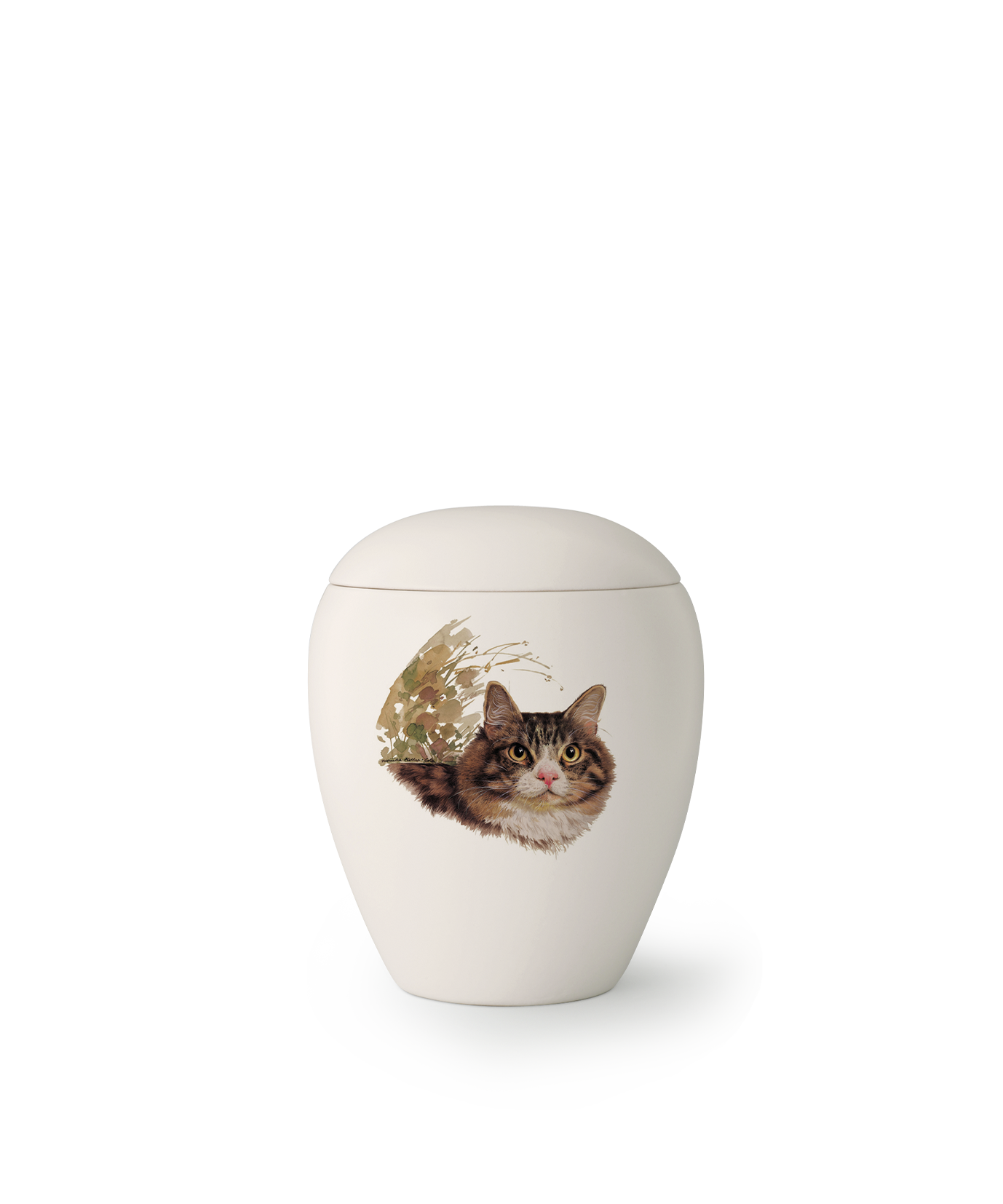 Urne European Shorthair