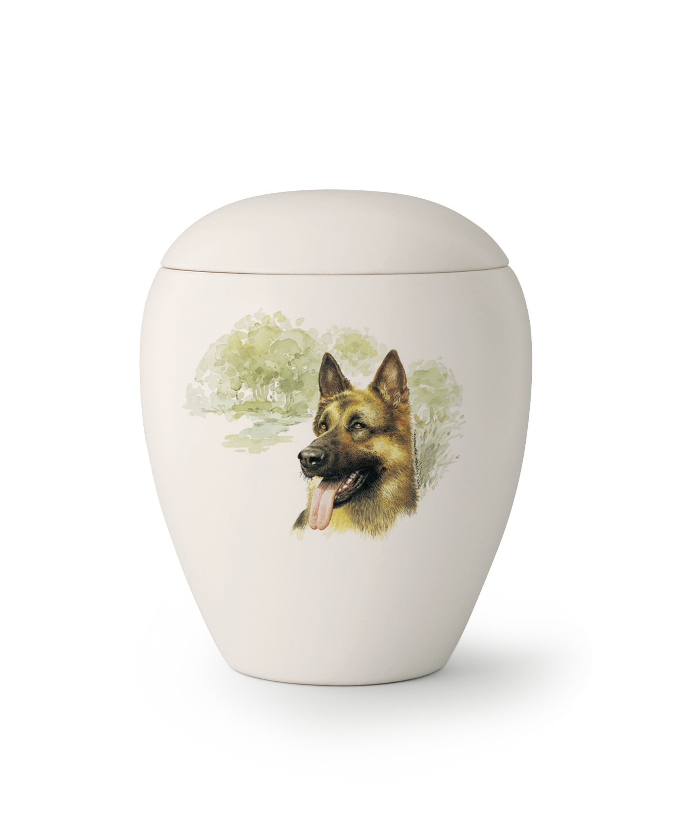 Urne race German Shepherd