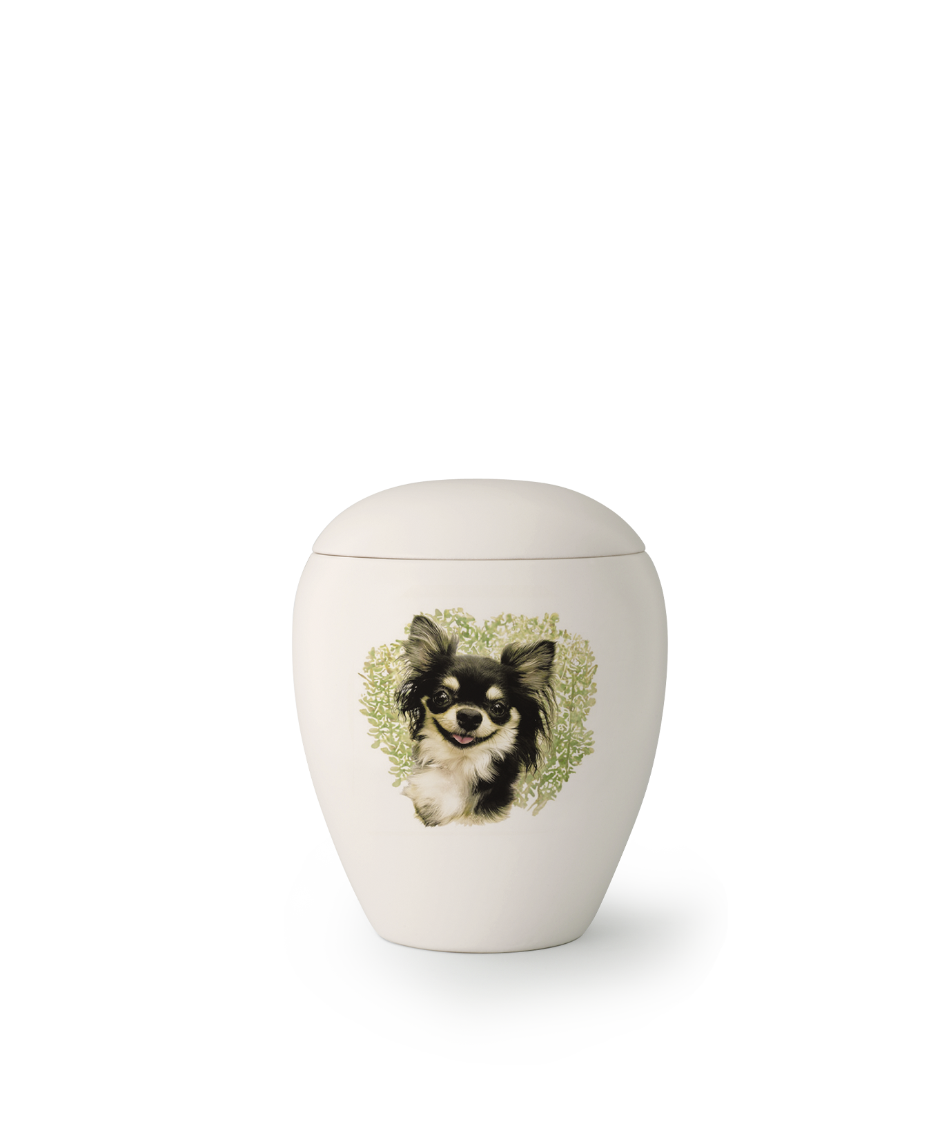 Chihuahua hotsell pet urns
