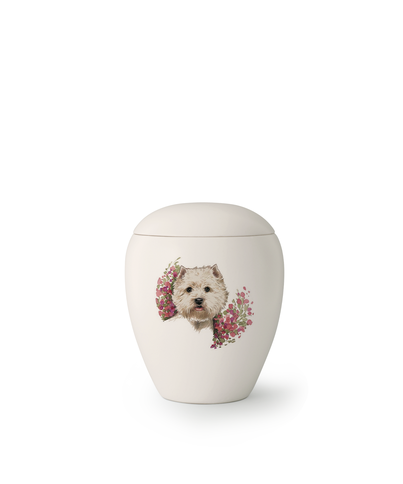 Urne race West Highland White Terrier
