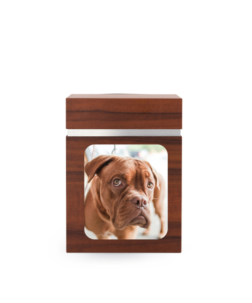 Urne chien et chat  avec photo