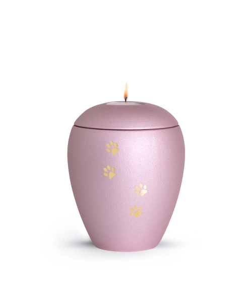 Animal Urn Edition Verona in different colours with golden paw