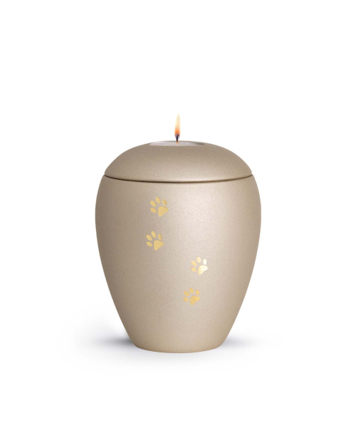 Animal Urn Edition Verona in different colours with golden paw