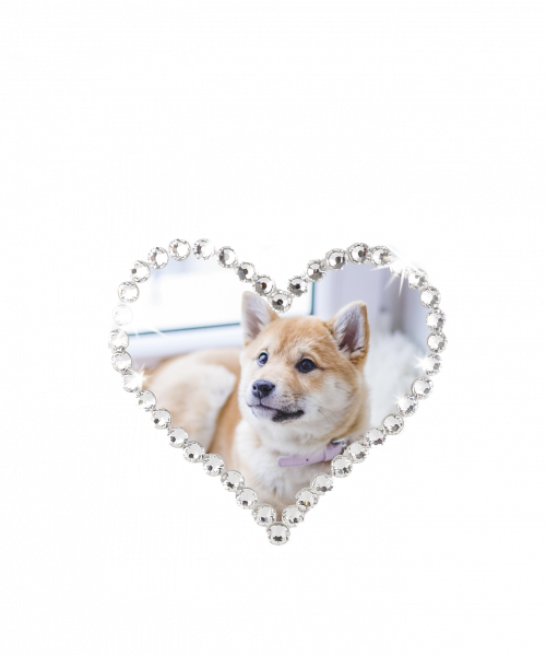 Dog and Cat Urn with Swarovski Photo Heart