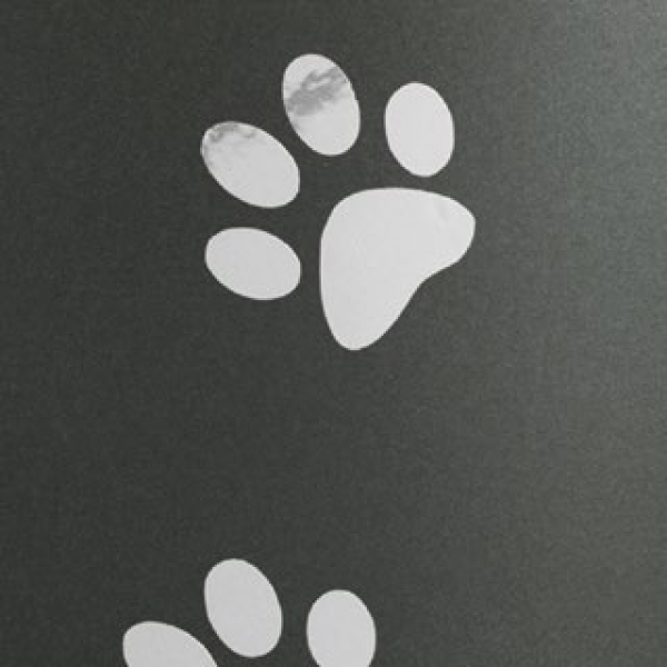 Urne Edition Elegance Pearly with 4 paws