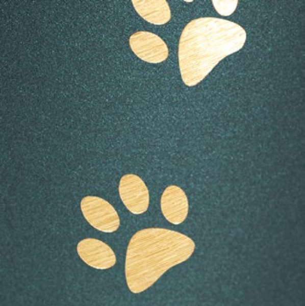 Urn Edition Patas with 4 paws
