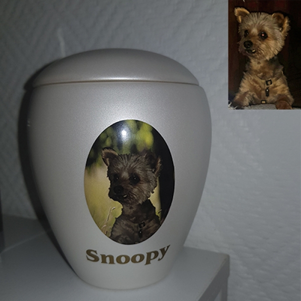 pet urns with photo