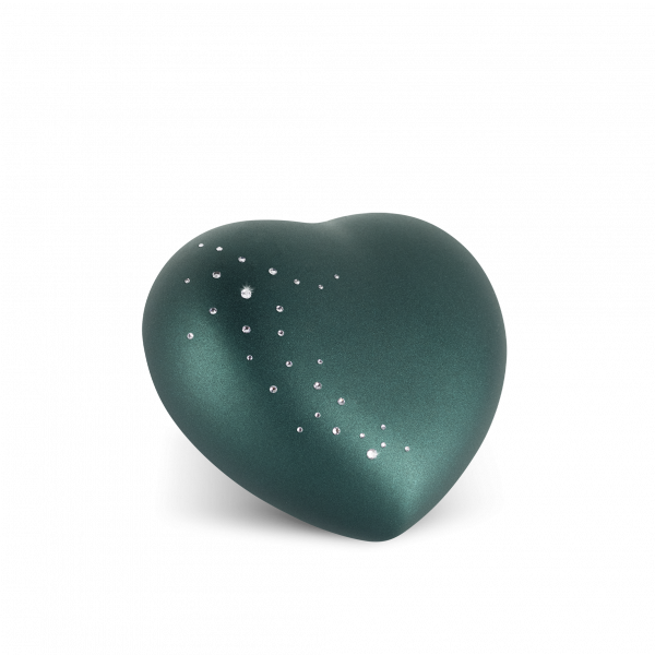 urn_dog_cat_animals_sky_star_petrole.png