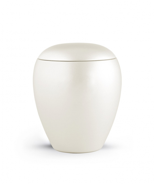 Pet urns   Color:  Champagne