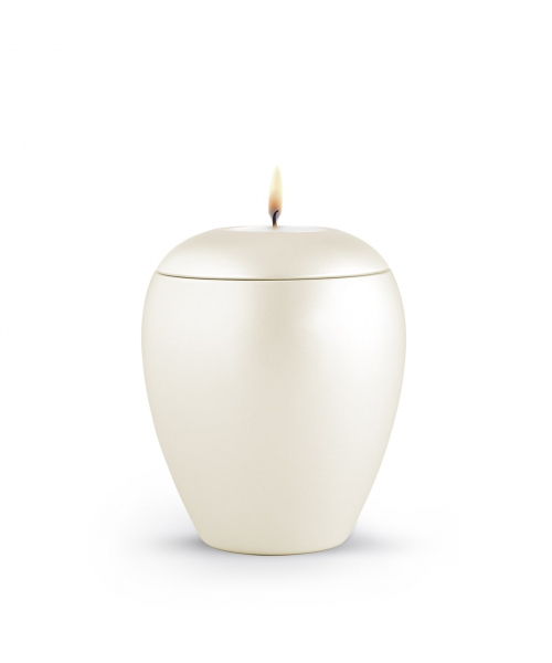 Pet urns   Color:  Champagne