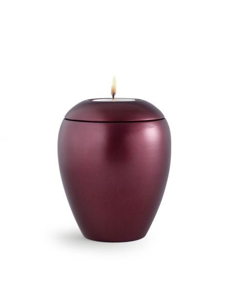 Pet urns   Color:  red