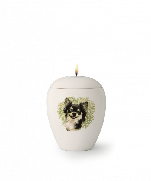 Pet urns Edition Sky   Race: Chihuahua