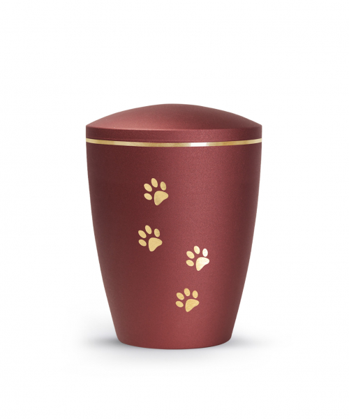 Urn Edition Patas with 4 paws
