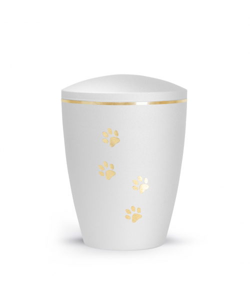 Urn Edition Patas with 4 paws