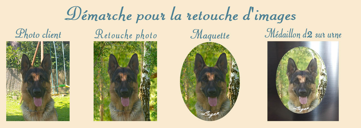 Urnes pour Chien pour Urne pour Animaux de Compagnie Boîte commémorative  avec Cadre Photo à mémoire Souvenirs en Bois Urnes funéraires pour Chats  Boîte commémorative pour Animaux de de : : Animalerie