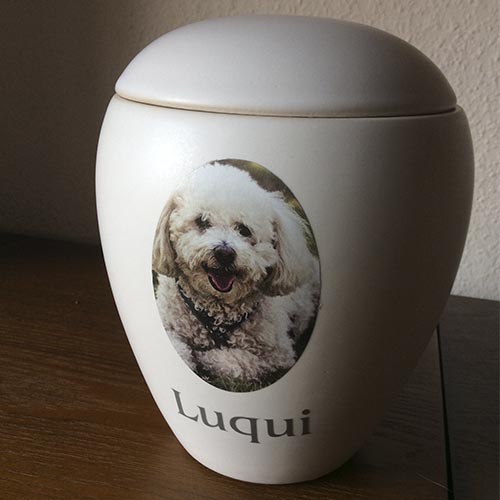 urne pour chien avec photo et nom swarovski pas cher luxus